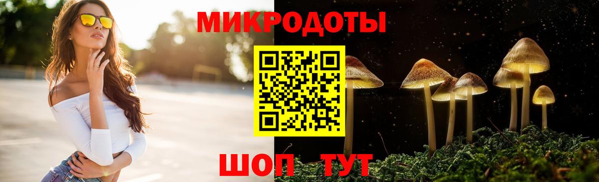 Псилоцибиновые грибы Psilocybine cubensis Коряжма